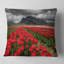 Rows of Bright Ruby Red Tulips - Coussin imprimé paysage-246529886-246529882