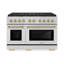 ZLINE Autograph 48 in. Paramount Dual Fuel Range w/ DuoPro Cooktop & Black Doors w/ Gold Accents-1696121611-1696121610