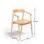 Mid-Century Modern Shell Dining Chairs-1103396035