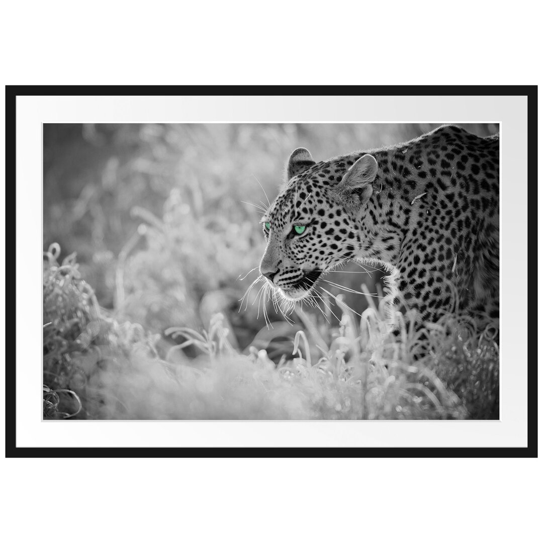 Gerahmtes Poster Schleichender Leopard