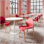 Été - Ensemble de 4 chaises de salle à manger Crimson avec pieds en chêne rouge et siège en PP