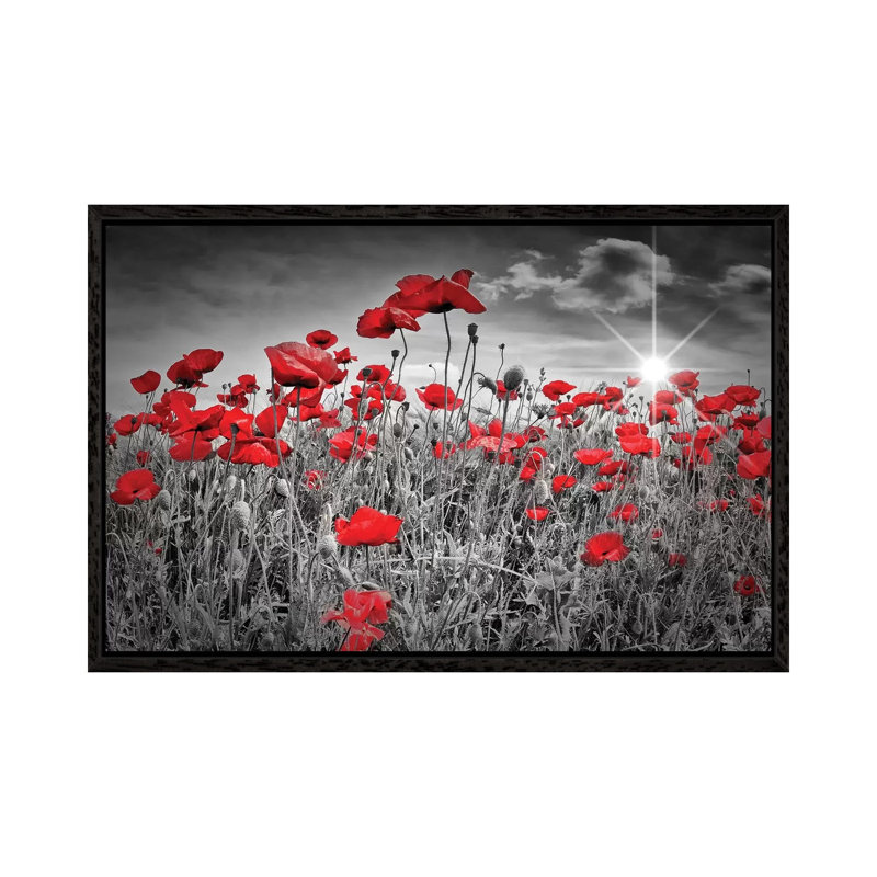 Idyllic Field Of Poppies With Sun by Melanie Viola - Print on Canvas, 152.5 cm H x 101.5 cm W, Black Framed Canvas