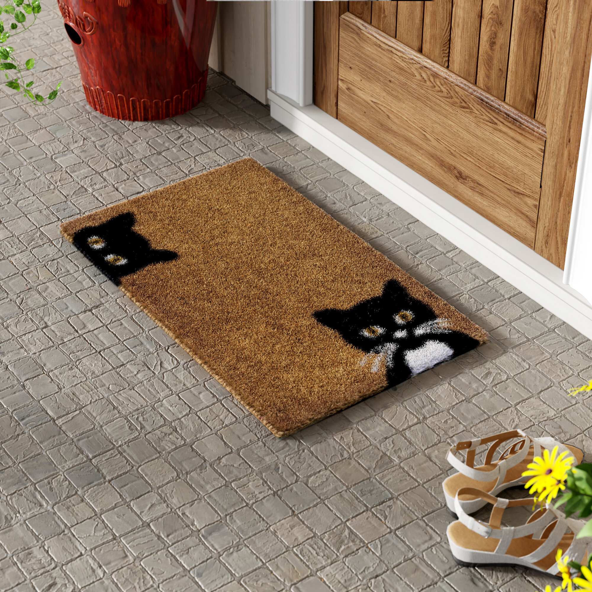 Door Mat 2-Pack, Indoor Outdoor Doormat Entryway Mats Front Porch