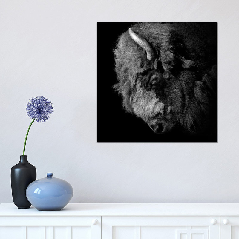 Buffalo In Black And White by Lukas Holas - Wrapped Canvas Print, 45.72 cm H x 45.72 cm W
