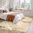 lxt-Area Rug Washable Traditional Distressed Farmhouse Rugs for Bedroom Indoor Floor Accent Carpet for Home Office House Decor Vintage Living Room-1977954533-1977954558
