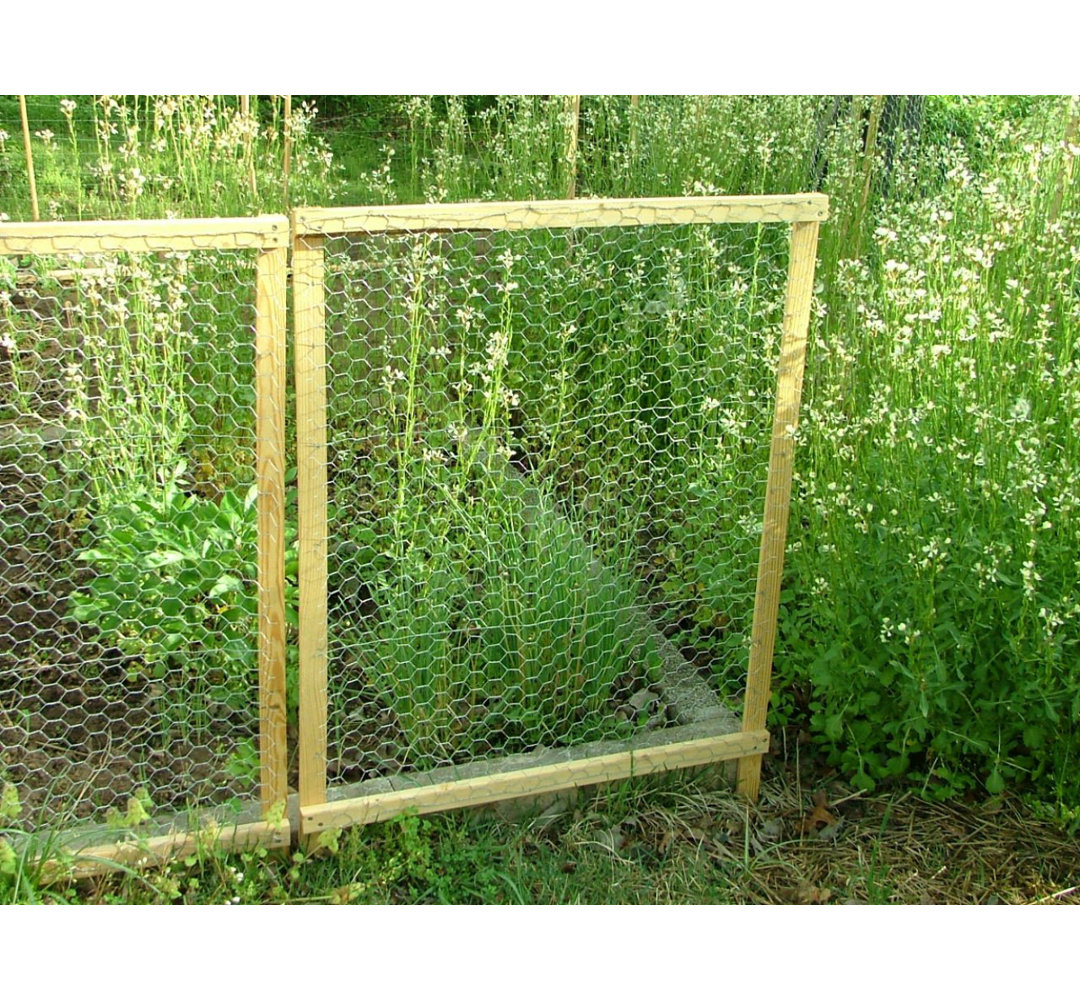 Eugenia Wire Mesh