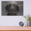 «Dog Shark» par John Silver-1079501784