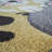 Millwright Polypropylene Rug-1114548697