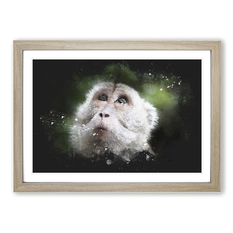 Macaque Monkey - Picture Frame Graphic Art, Oak Framed, 48cm H x 65cm W x 2cm D