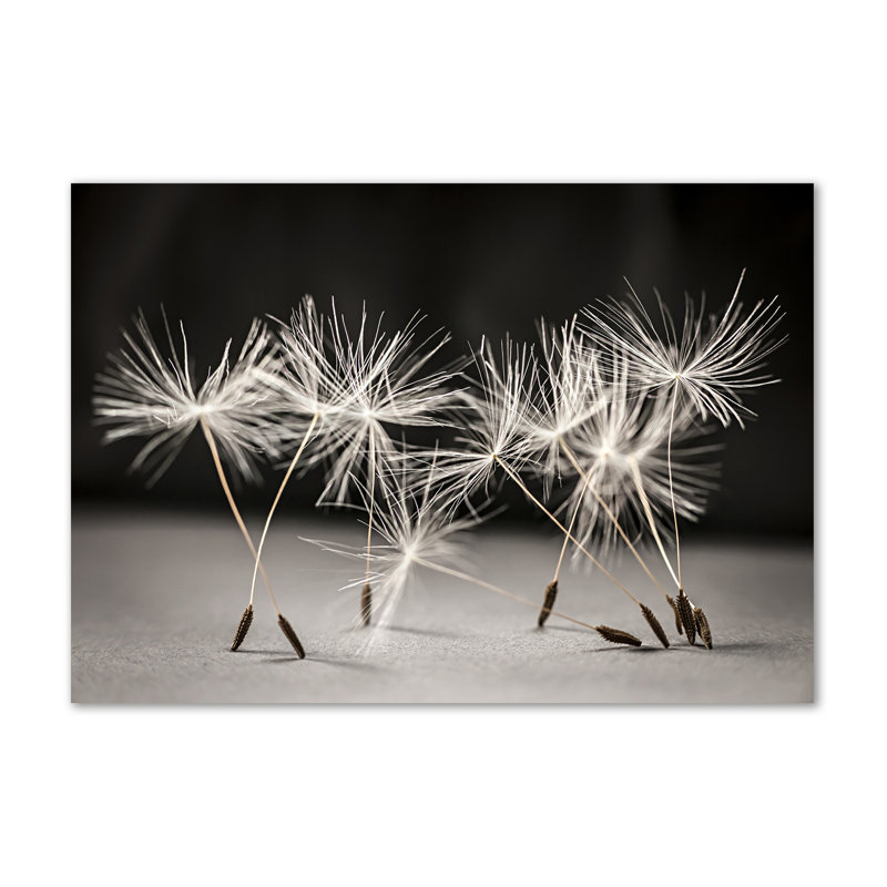 Dandelion Seeds - Wrapped Canvas Print