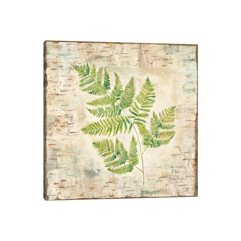 Birch Bark Ferns II by Cynthia Coulter - Wrapped Canvas Painting, 66.04 cm H x 66.04 cm W x 3.175 cm D