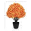Arbre en pot 24 po-51795833
