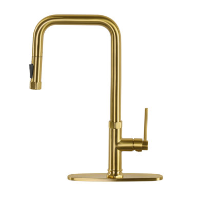 ABTIABGY Pull Down Kitchen Faucet