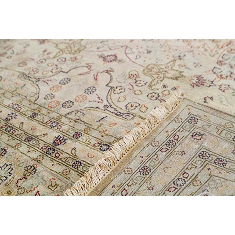Wool Oriental Area Rug in Beige