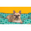 Lit pour chien Houndstooth-411679169-411679170