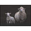 Counting Sheep 1 Print by Studio L57 Narrative-845547167