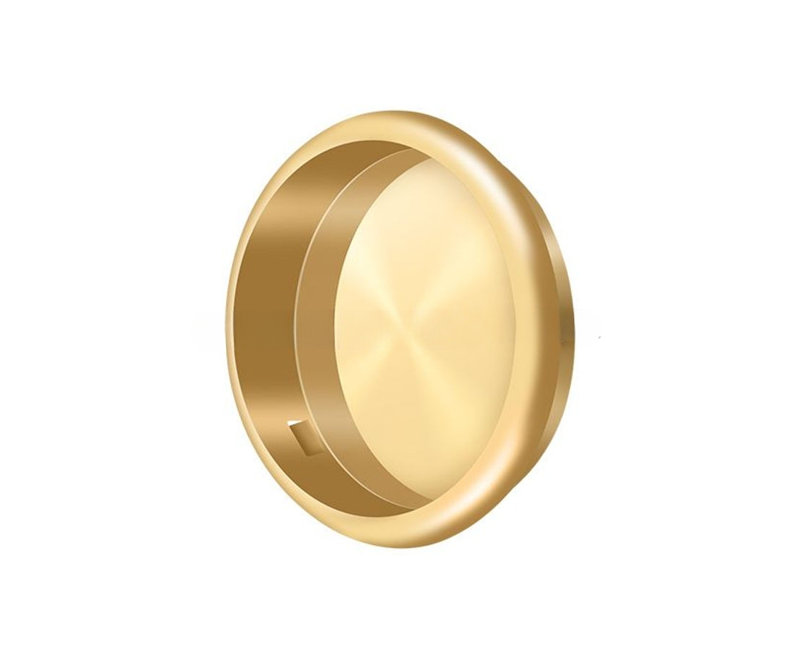 Brass Push/Pull Plate, PVD Polished Brass