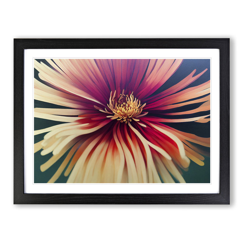 Chrysanthemum Flower Vol.2 - Framed Print, 34cm H x 46cm W x 2cm D, Black