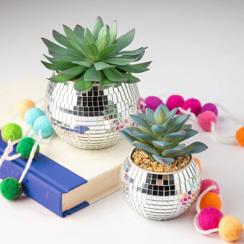 Disco Succulent Pot Lg