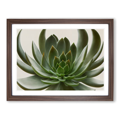 Luscious Succulent Plant 1 Piece Single Picture Frame Wall Art
