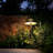 LED Landscape Pathway Lighting, 3W AC/DC 12V-24V Low Voltage Path Lights