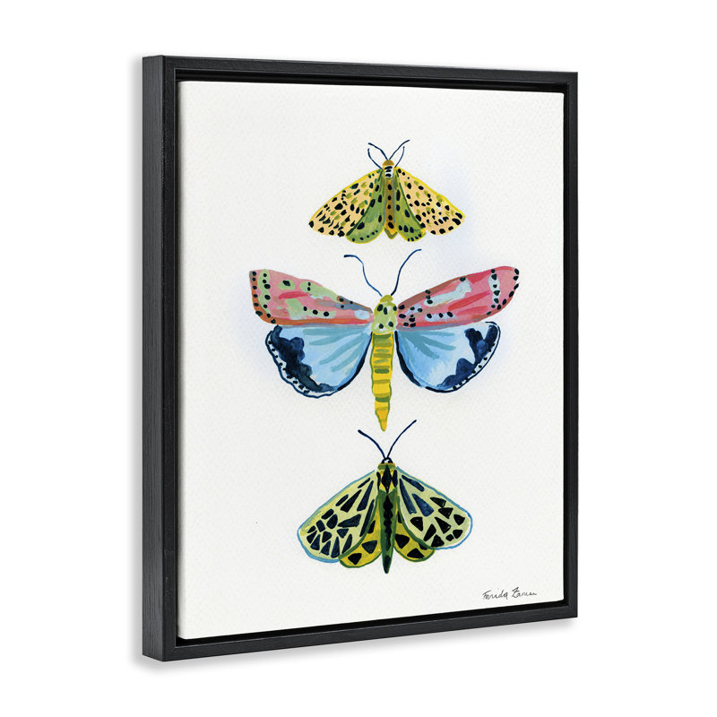 Cadre flottant Bright Moths Trio, design par Farida Zaman, H 31 po x l 25 po, Cadre flottant noir de jais