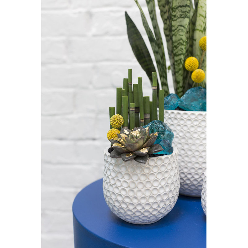 Gyneth Handmade Ceramic Pot Planter