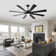 Large 8 Blade Ceiling Fan With Led Light And Smart Features