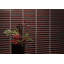 Kuroaya Singular Tile-1026303227