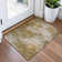 Machine Washable Indoor/Outdoor Xhevrie Copper Rug