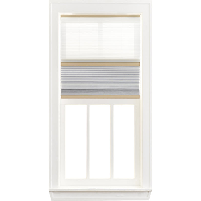 Day and Night Blackout Cellular Shade, White, 26", 72"