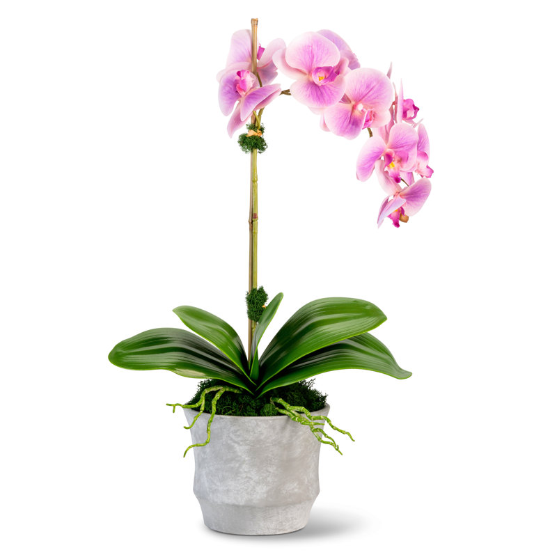 Clementine Realtouch Orchid Arrangement, Purple