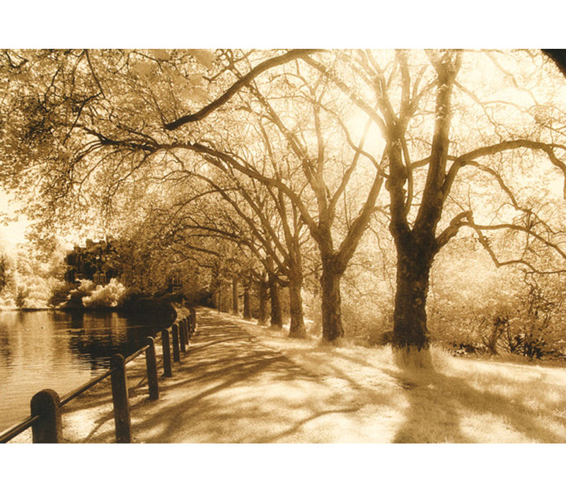 Hampstead Ponds, Londres IMA-L256, H 33 po x l 48 po