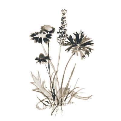 Sepia Botanicals - Painting Print