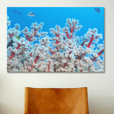 Marine and Ocean Gorgonian Coral Photographic Print on Canvas