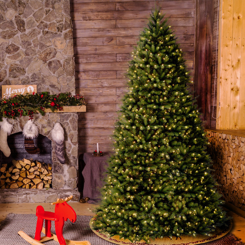 The Holiday Aisle® Dunhill Fir Tree with Clear Lights, 10'