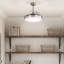 Ceiling Fan with LED Lights-589760727