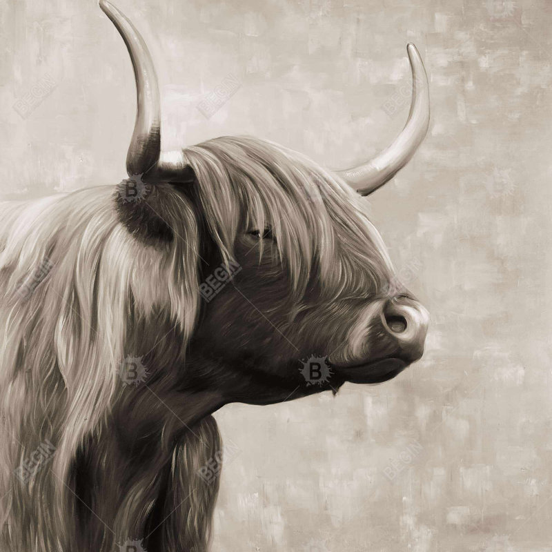 "Magnifique bovin Highland sépia"