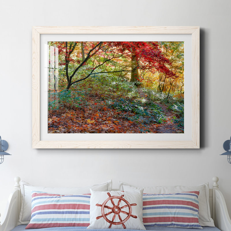Secret Garden par J Paul - reproduction de photo sur papier encadrée, H 27,5 po x l 37,5 po x P 1,5 po, Blanc