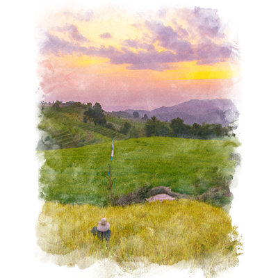 Rice Field Terrace by Unkown - Wrapped Canvas Print