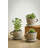 Abordale Statue Planter