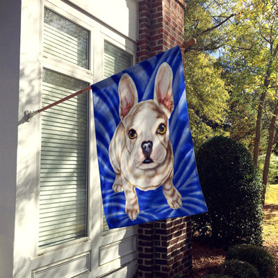 Drapeau de jardin à losanges en losange bleu