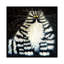 « bert » par kim haskins-impression d’art graphique-49774668-49774663