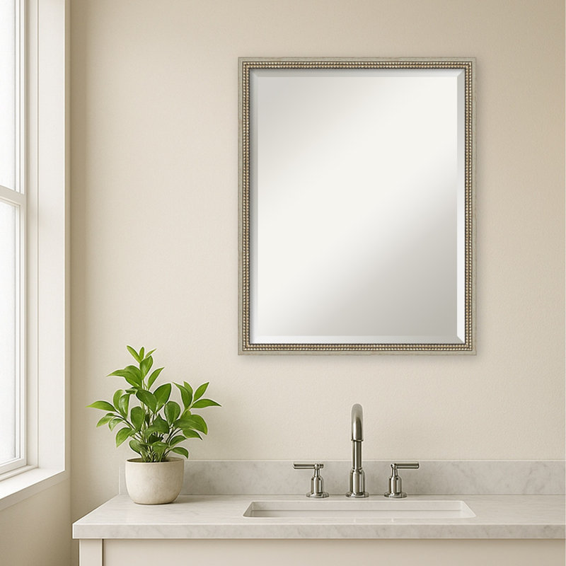 Miroir mural de salle de bain Petronella, L 24 po x H 30 po, Argent Castellan