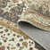 Cashmere Machine Tufted Area Rug ( Low-Pile Traditional)