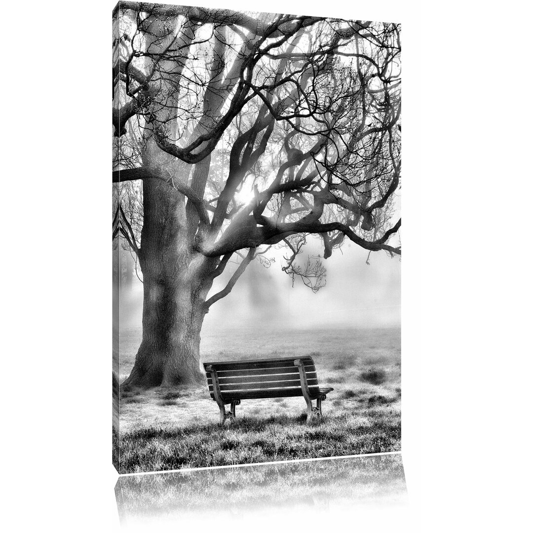 Leinwandbild Baum und Bank im Nebel in Monochrom