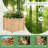 Delanna Planter Box