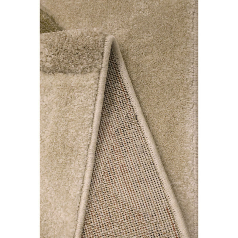 Takaiyah Oriental Area Rug, Rectangle 120 x 170cm