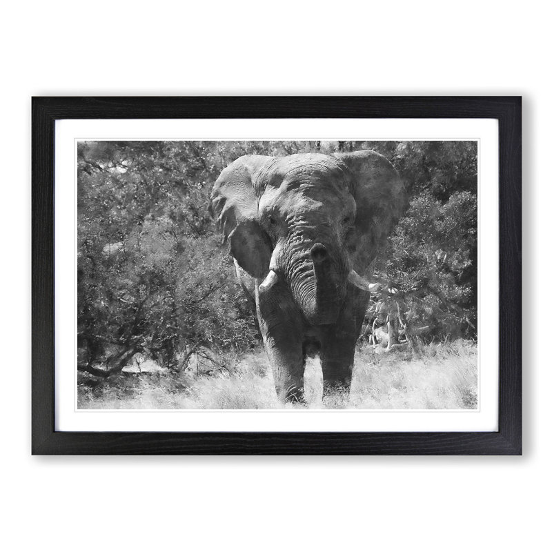 The Majestic Elephant - Framed Print, 24cm H x 33cm W x 2cm D, Black