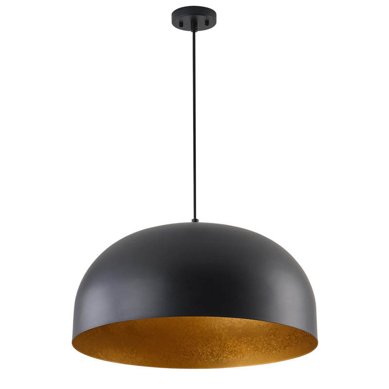 1-Dimmable black gold iron pendant light